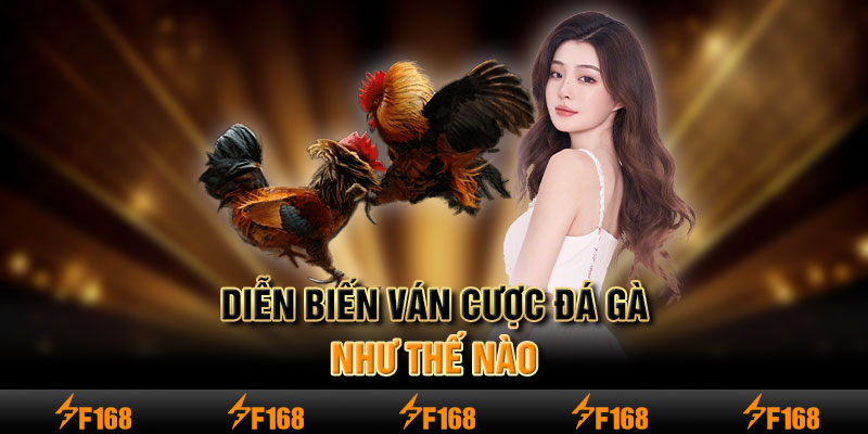 Diễn biến ván cược đá gà như thế nào