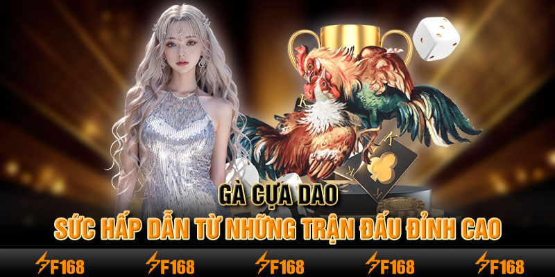 gà cựa dao