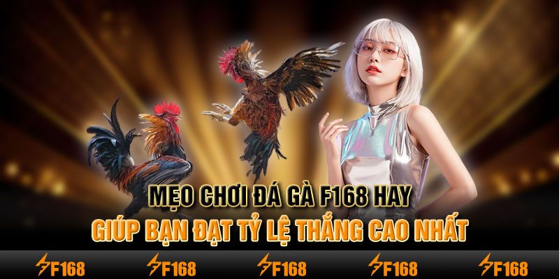 Mẹo chơi đá gà F168 hay giúp bạn đạt tỷ lệ thắng cao nhất